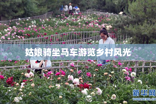 姑娘骑坐马车游览乡村风光