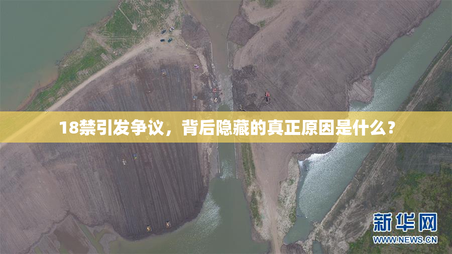 18禁引发争议，背后隐藏的真正原因是什么？