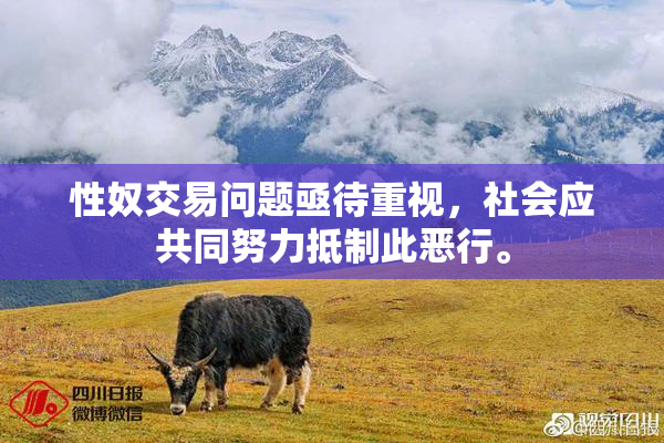 性奴交易问题亟待重视，社会应共同努力抵制此恶行。
