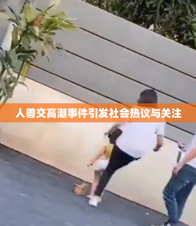 人兽交高潮事件引发社会热议与关注