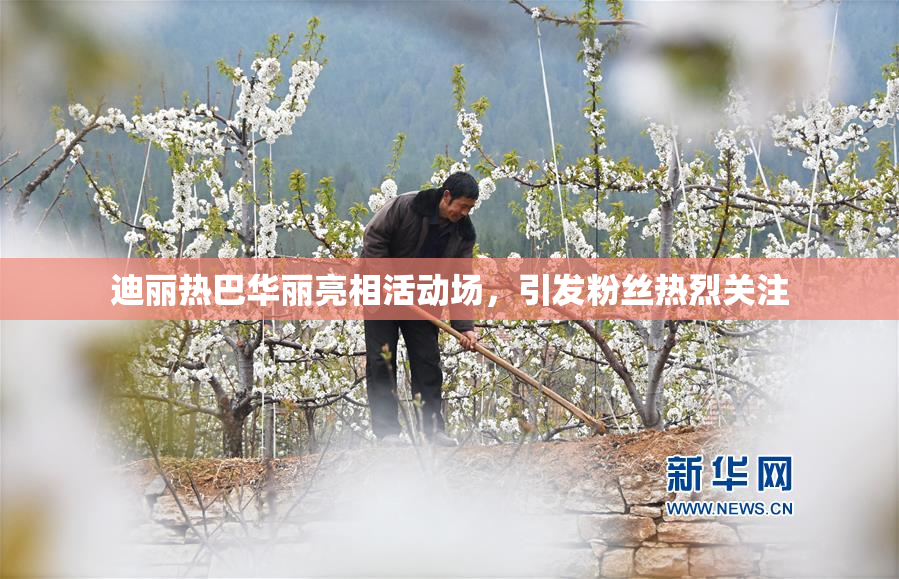 迪丽热巴华丽亮相活动场，引发粉丝热烈关注