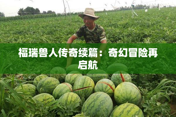 福瑞兽人传奇续篇：奇幻冒险再启航