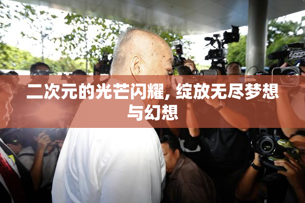 二次元的光芒闪耀, 绽放无尽梦想与幻想