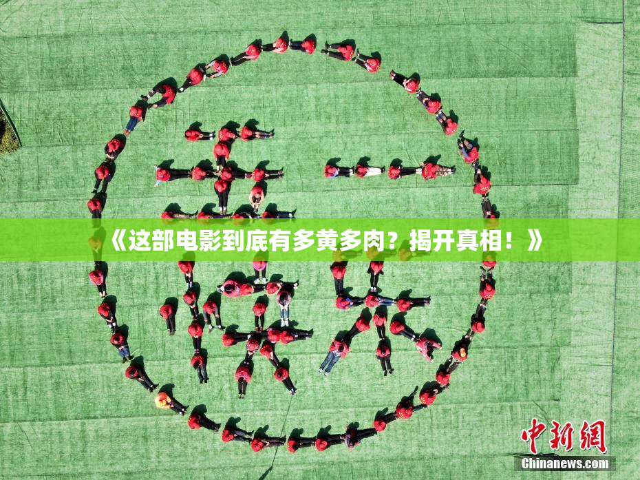 《这部电影到底有多黄多肉？揭开真相！》