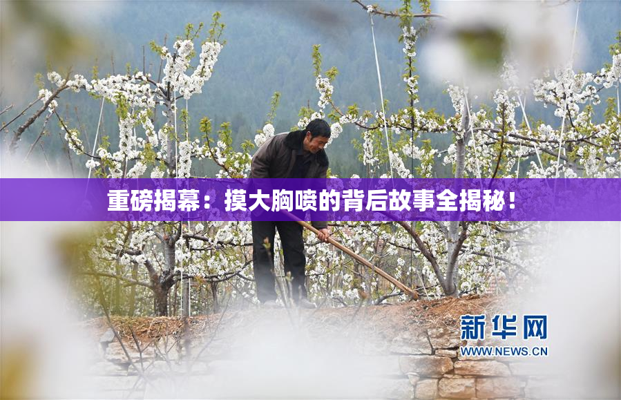 重磅揭幕：摸大胸喷的背后故事全揭秘！
