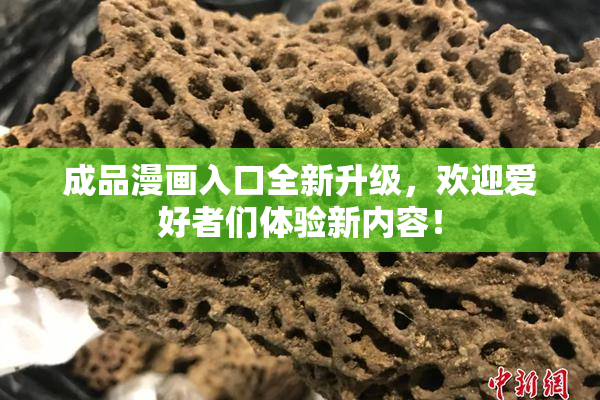 成品漫画入口全新升级，欢迎爱好者们体验新内容！