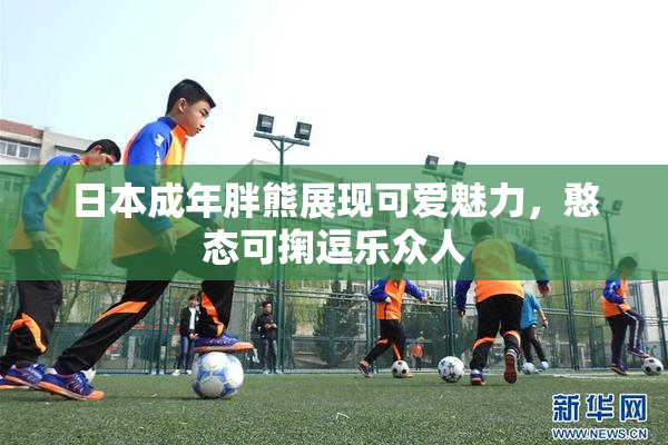 日本成年胖熊展现可爱魅力，憨态可掬逗乐众人
