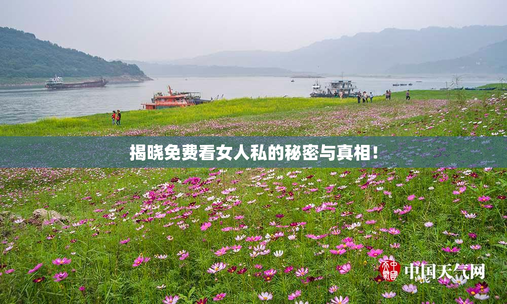 揭晓免费看女人私的秘密与真相！