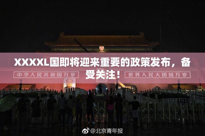 XXXXL国即将迎来重要的政策发布，备受关注！