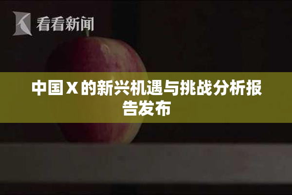 中国Ⅹ的新兴机遇与挑战分析报告发布