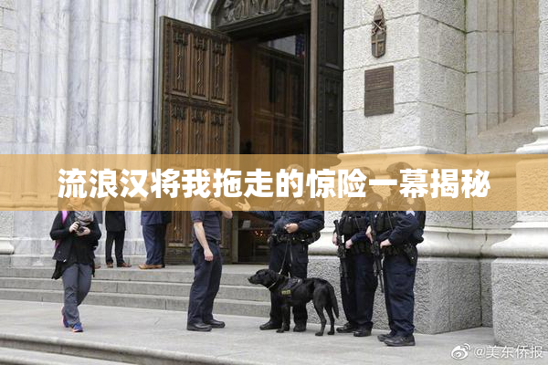 流浪汉将我拖走的惊险一幕揭秘
