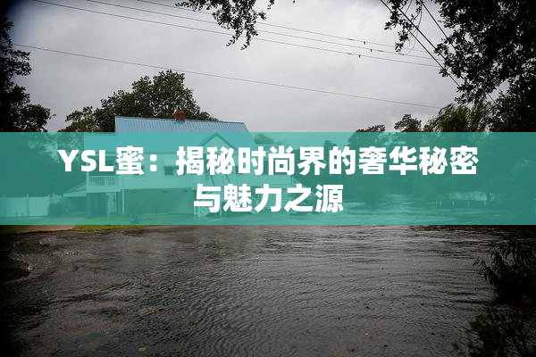 YSL蜜：揭秘时尚界的奢华秘密与魅力之源