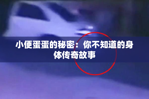 小便蛋蛋的秘密：你不知道的身体传奇故事
