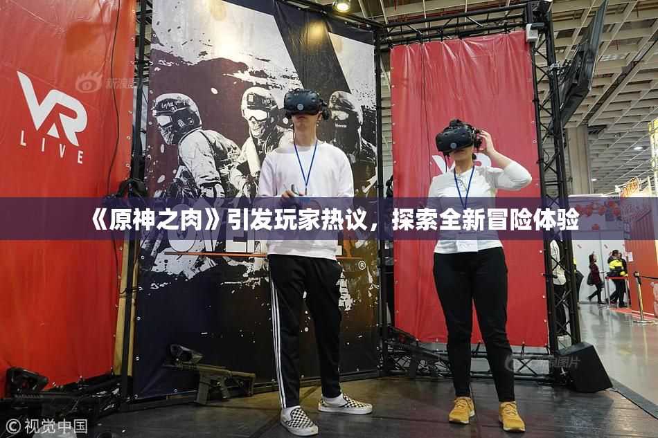 《原神之肉》引发玩家热议，探索全新冒险体验