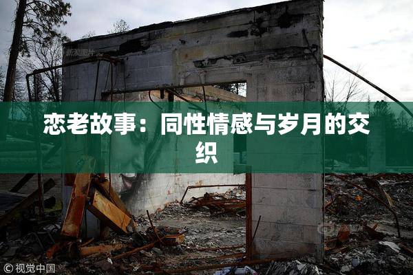 恋老故事：同性情感与岁月的交织