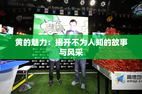 黄的魅力：揭开不为人知的故事与风采