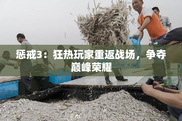 惩戒3：狂热玩家重返战场，争夺巅峰荣耀