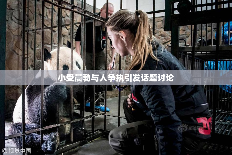 小受晨勃与人争执引发话题讨论
