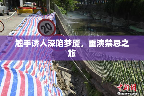 触手诱人深陷梦魇，重演禁忌之旅