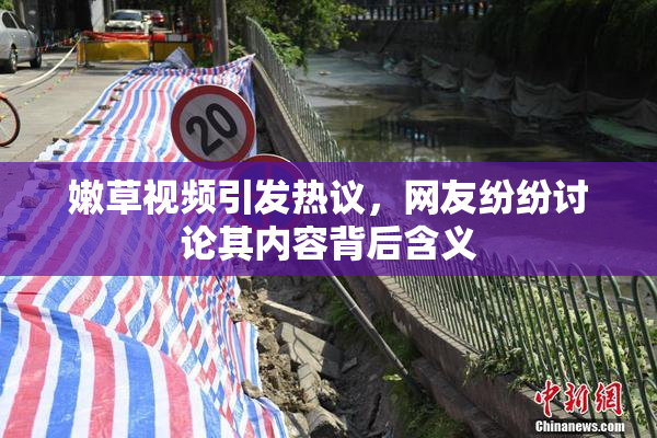 嫩草视频引发热议，网友纷纷讨论其内容背后含义