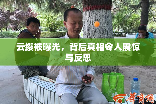 云缨被曝光，背后真相令人震惊与反思