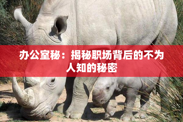 办公室秘：揭秘职场背后的不为人知的秘密