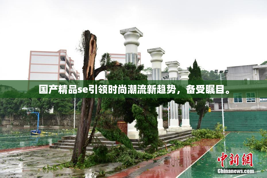 国产精品se引领时尚潮流新趋势，备受瞩目。