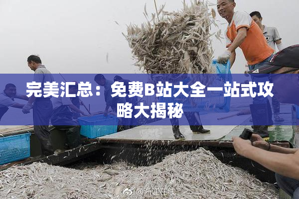 完美汇总：免费B站大全一站式攻略大揭秘