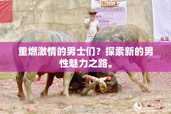 重燃激情的男士们？探索新的男性魅力之路。