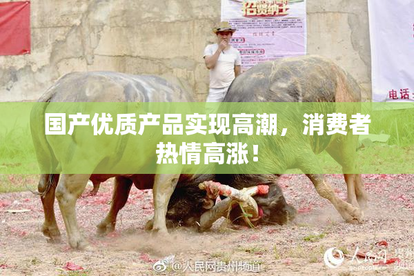 国产优质产品实现高潮，消费者热情高涨！