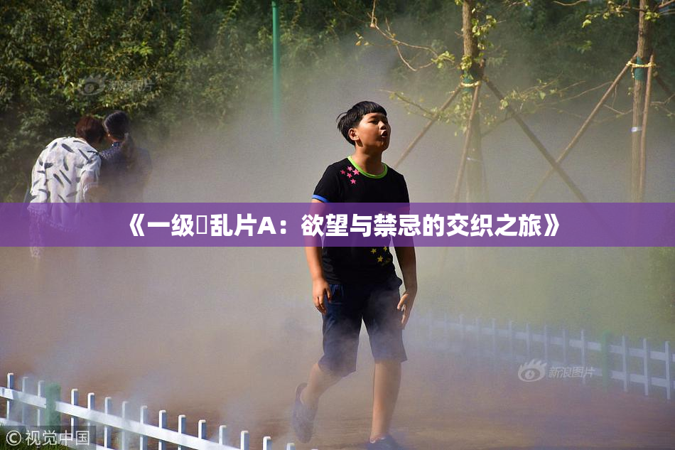 《一级婬乱片A：欲望与禁忌的交织之旅》