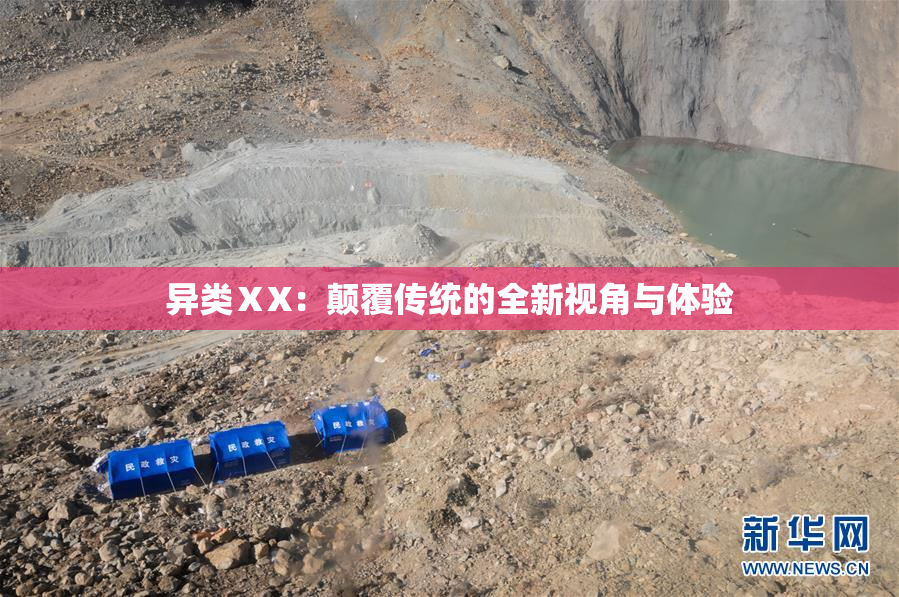 异类ⅩX：颠覆传统的全新视角与体验