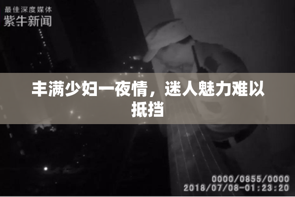 丰满少妇一夜情，迷人魅力难以抵挡