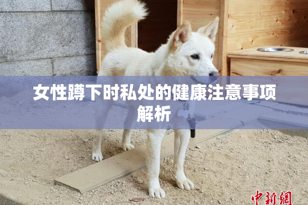 女性蹲下时私处的健康注意事项解析