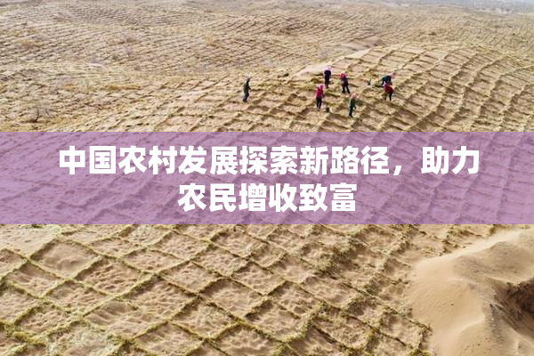 中国农村发展探索新路径，助力农民增收致富