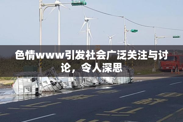 色情www引发社会广泛关注与讨论，令人深思