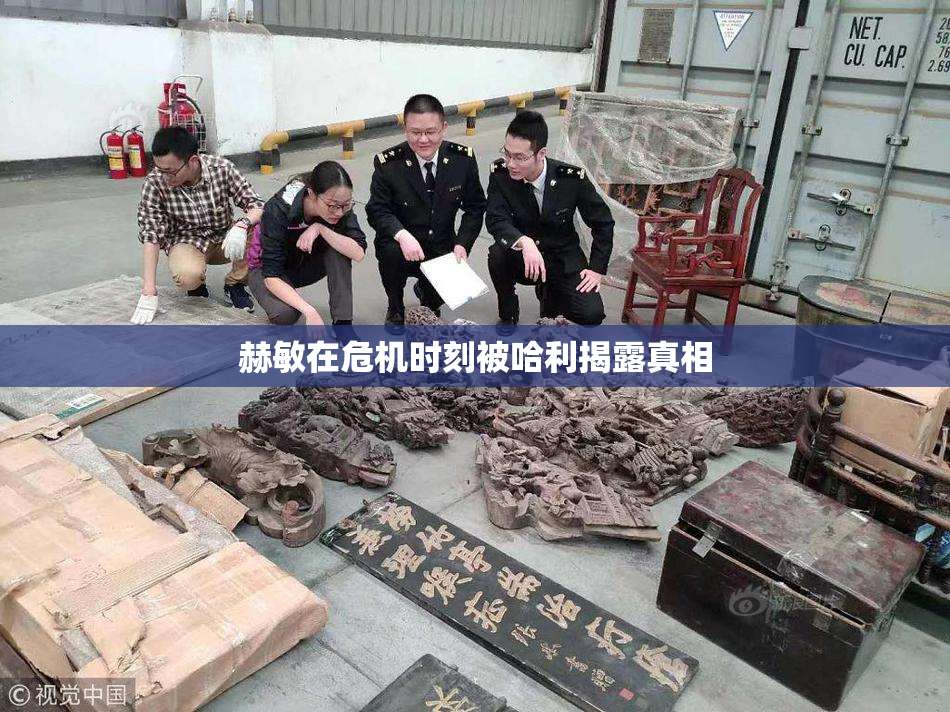 赫敏在危机时刻被哈利揭露真相