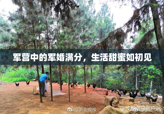 军营中的军婚满分，生活甜蜜如初见