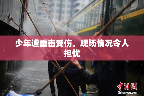 少年遭重击受伤，现场情况令人担忧