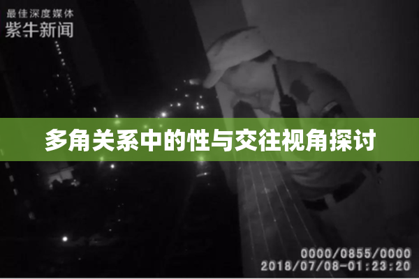 多角关系中的性与交往视角探讨