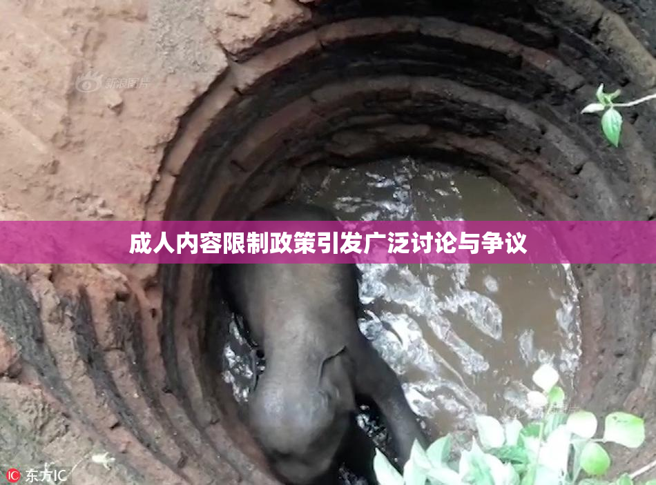 成人内容限制政策引发广泛讨论与争议