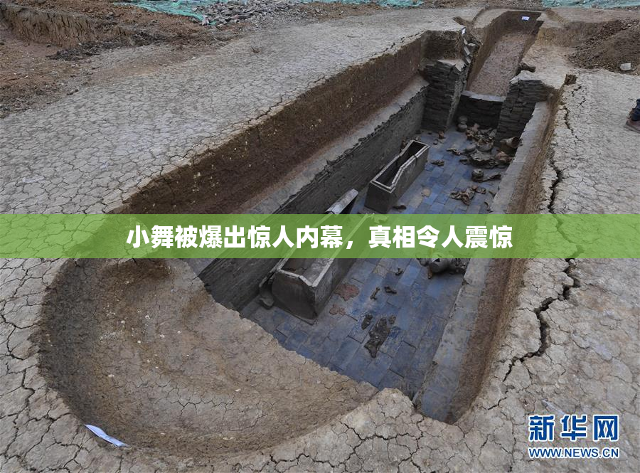 小舞被爆出惊人内幕，真相令人震惊