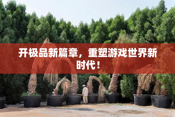 开极品新篇章，重塑游戏世界新时代！