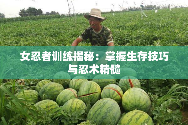 女忍者训练揭秘：掌握生存技巧与忍术精髓