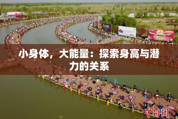 小身体，大能量：探索身高与潜力的关系