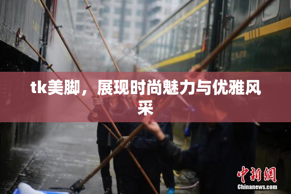 tk美脚，展现时尚魅力与优雅风采
