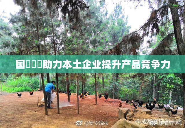 国產梱綁助力本土企业提升产品竞争力