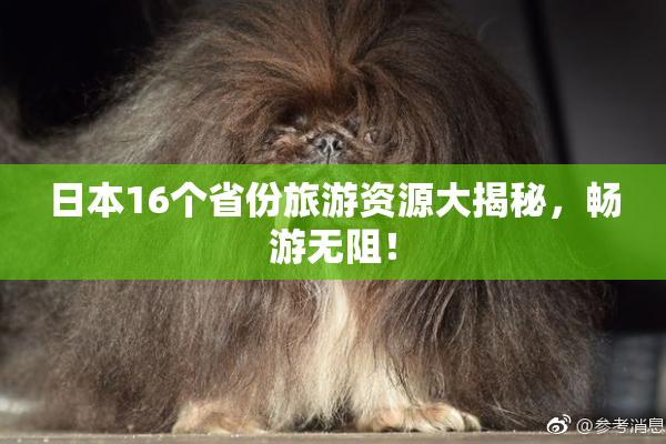 日本16个省份旅游资源大揭秘，畅游无阻！