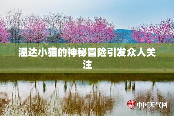 温达小猫的神秘冒险引发众人关注