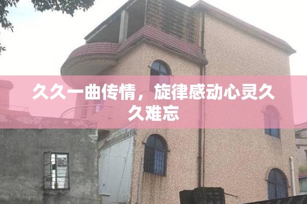 久久一曲传情，旋律感动心灵久久难忘